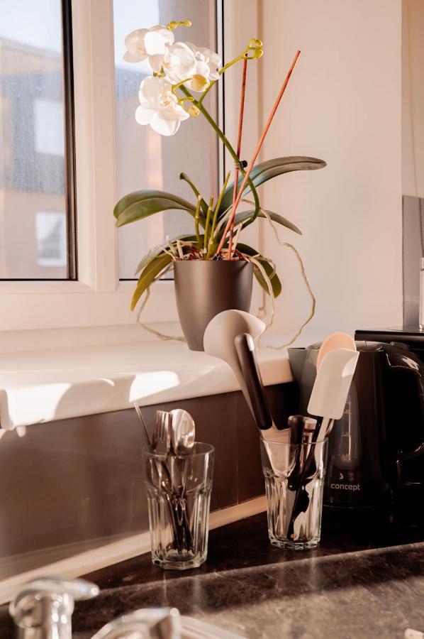 Apartmany Centrum Nový Bor Buitenkant foto